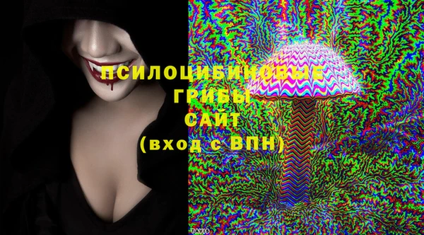 прущие грибы Алексин