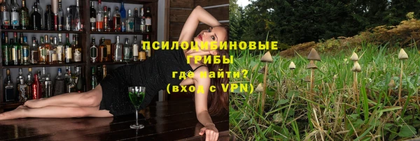 крисы Алзамай
